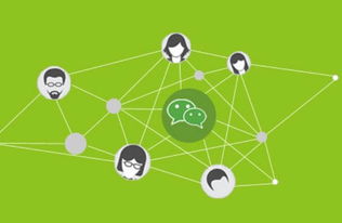 移動(dòng)互聯(lián)網(wǎng)時(shí)代 營(yíng)銷推廣與互聯(lián)網(wǎng)銷售的雙重挑戰(zhàn)與應(yīng)對(duì)策略